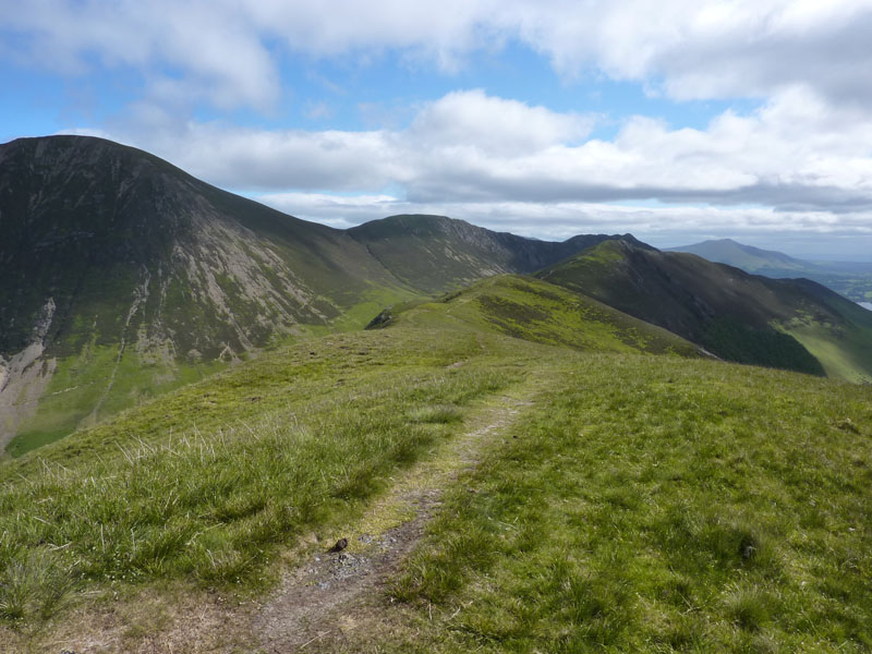 Knott Rigg